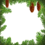 Christmas greeting cards by email Postcard with pine cones