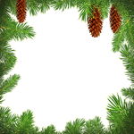 ECards for the New 2026 year by email Postcard with pine cones