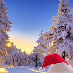 ECards for the New 2026 year by email Postcard with a snowy forest